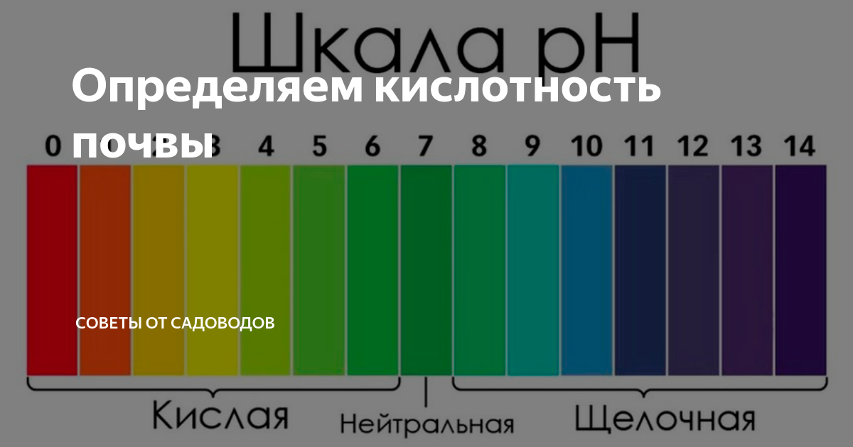 Какой рН питательного раствора выбрать? Какой рН питательного раствора выбрать?