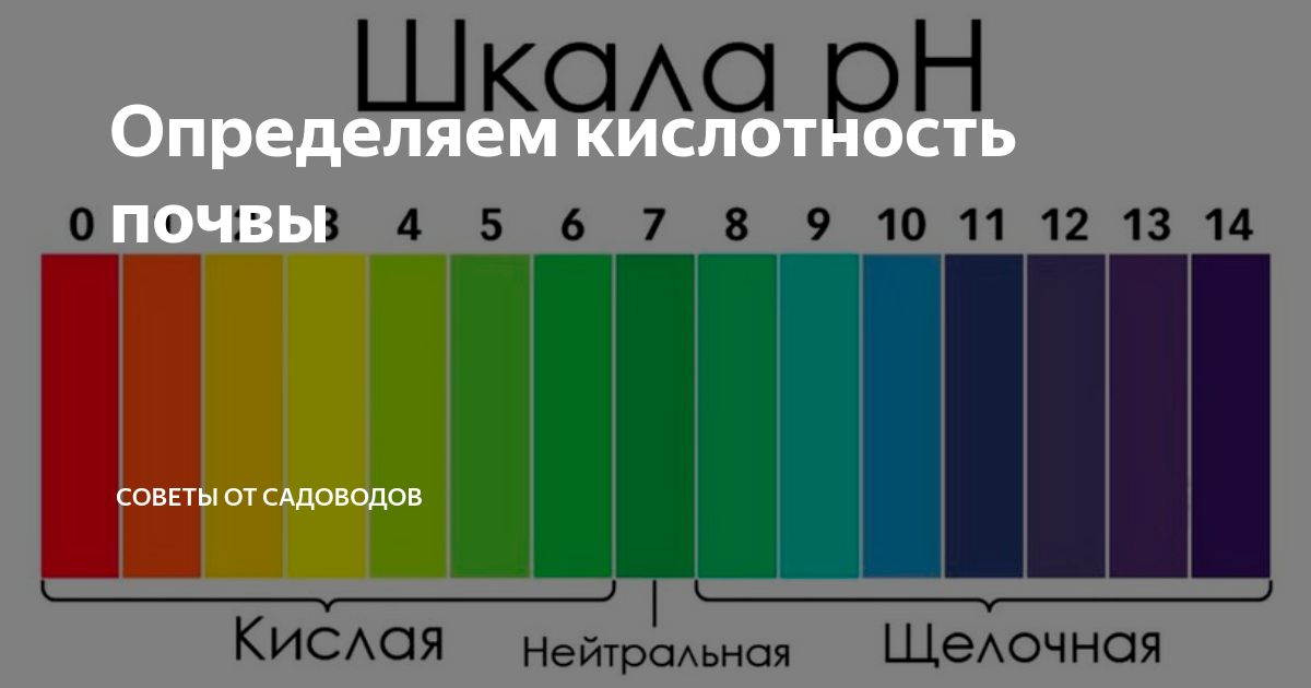 Какой рН питательного раствора выбрать?