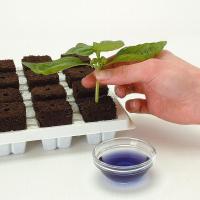 Кубики Growth Technology Root Riot 24 шт