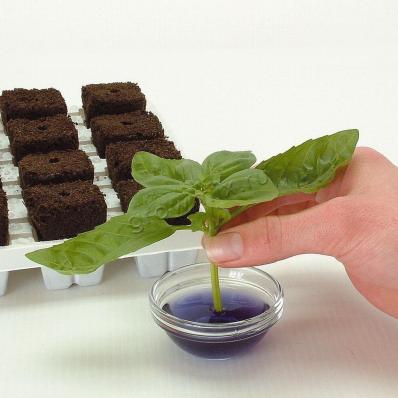 Кубики Growth Technology Root Riot 24 шт