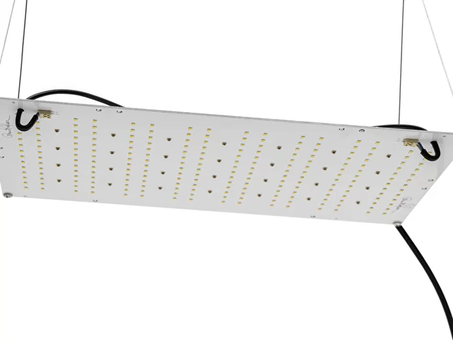 Лампа Led Growitation One 130w PREMIUM