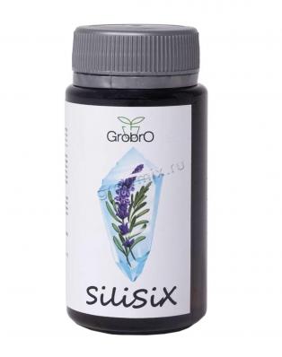 GroBro SiliSiX 100 мл