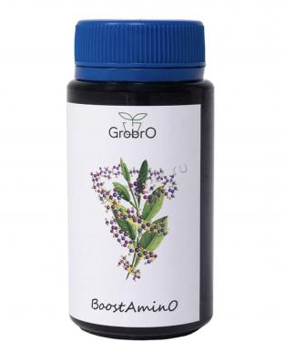 GroBro BoostAmino 100 мл