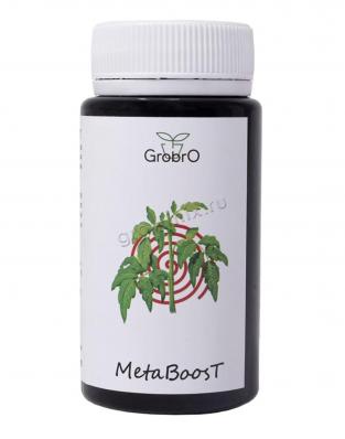GroBro MetaBoosT 100 мл