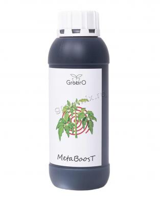 GroBro MetaBoosT 500 мл