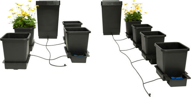 AUTOPOT 1 POT 4 starter system